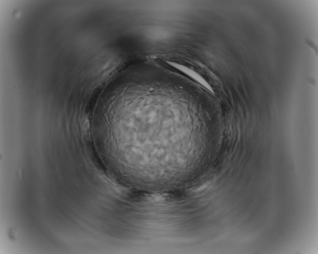 X0000099230523200805011139