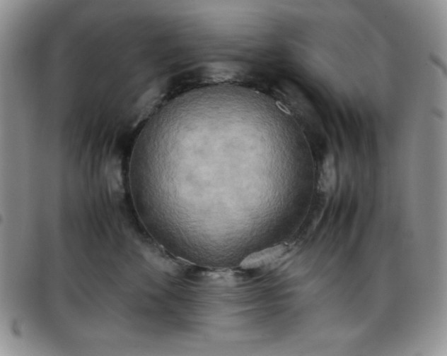 X0000099230524200805011139