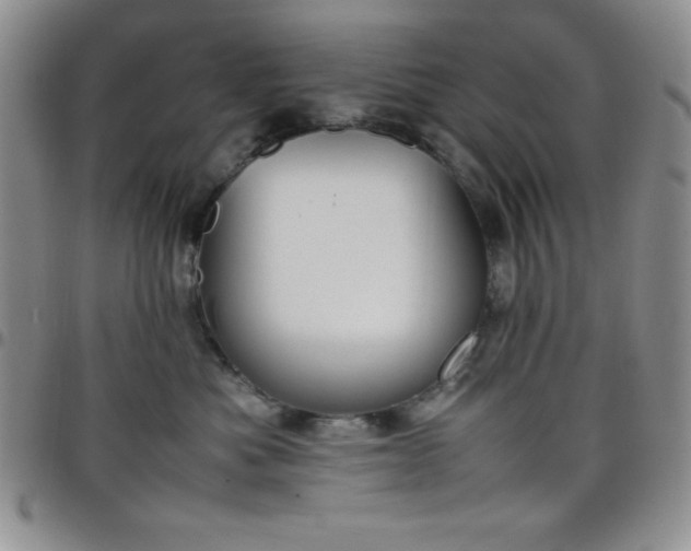 X0000099230525200805011139