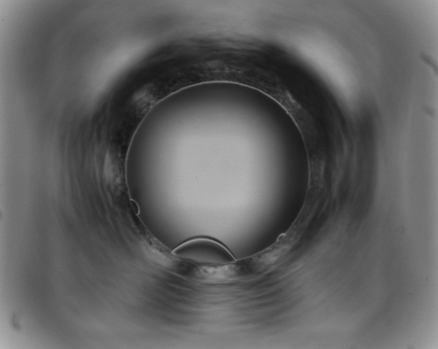 X0000099230526200805011139