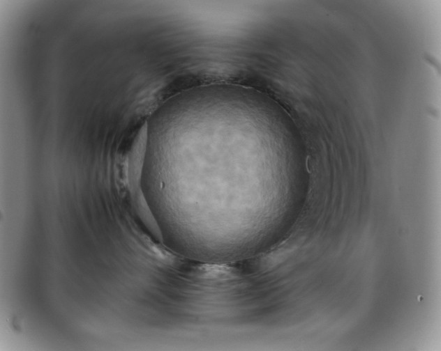 X0000099230528200805011139