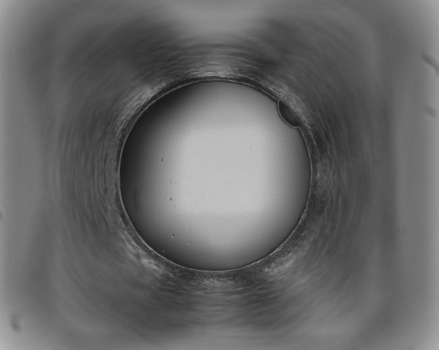 X0000099230529200805011138