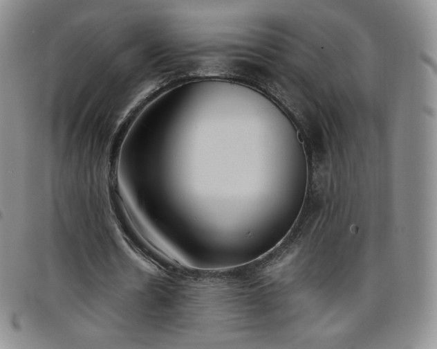 X0000099230530200805011138