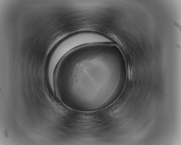 X0000099230531200805011138