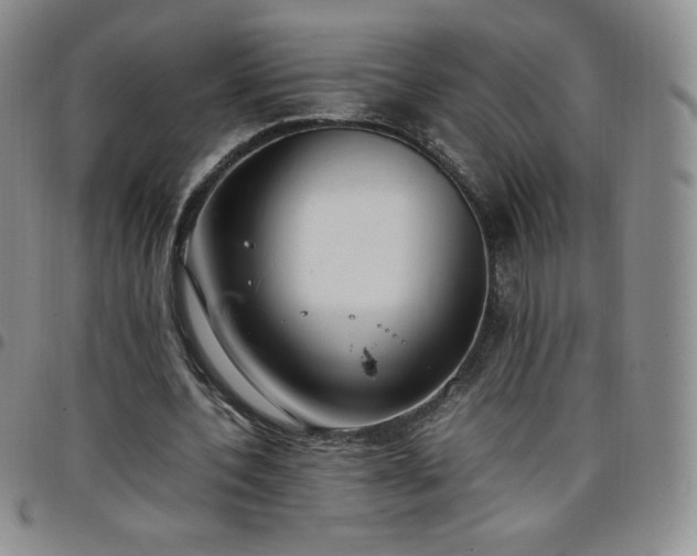 X0000099230532200805011139