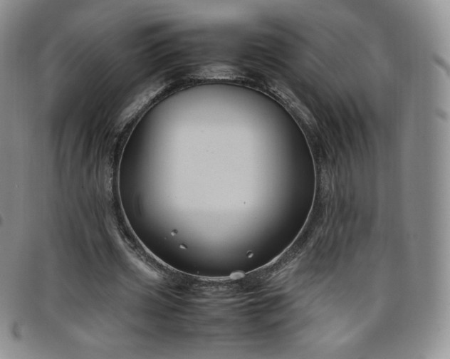 X0000099230533200805011139