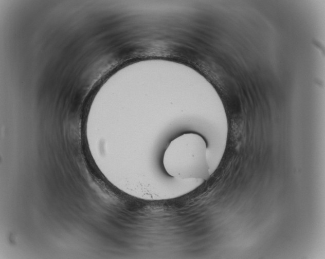 X0000099230534200805011139