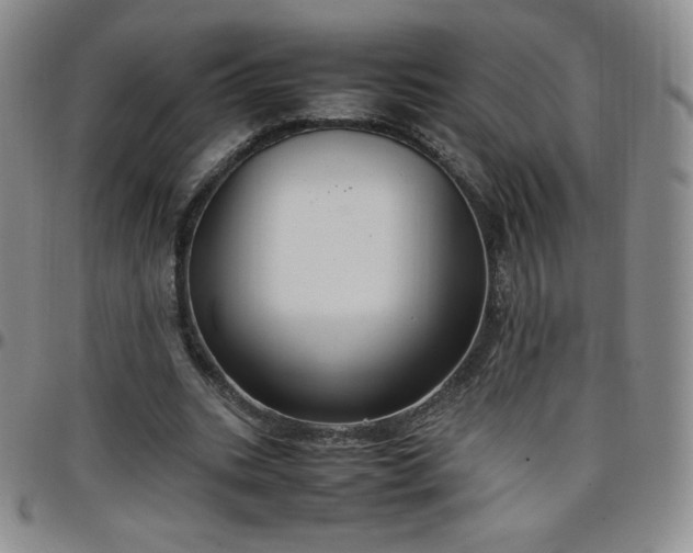 X0000099230535200805011139