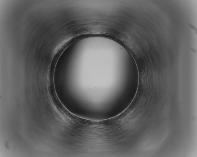 X0000099230536200805011139