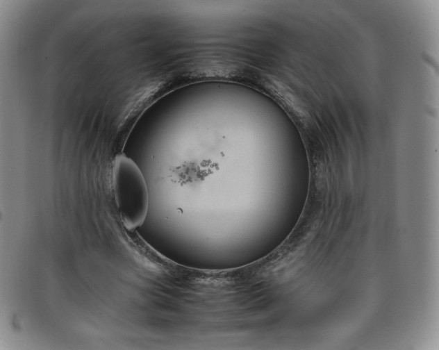 X0000099230537200805011139