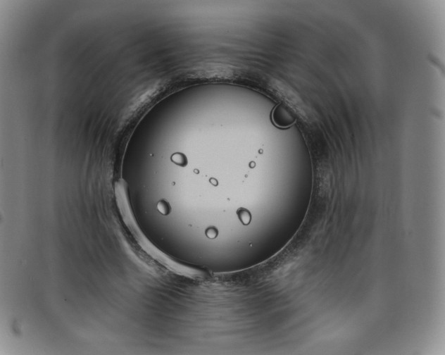 X0000099230538200805011139