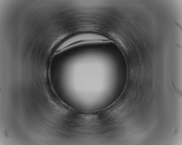 X0000099230539200805011139