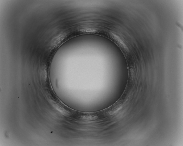 X0000099230541200805011139