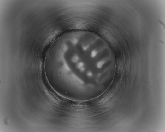 X0000099230542200805011139