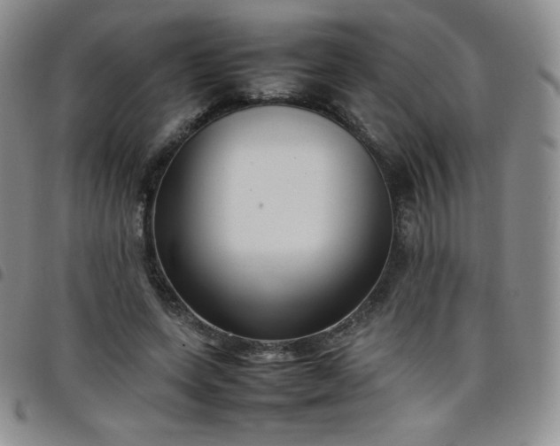 X0000099230543200805011139