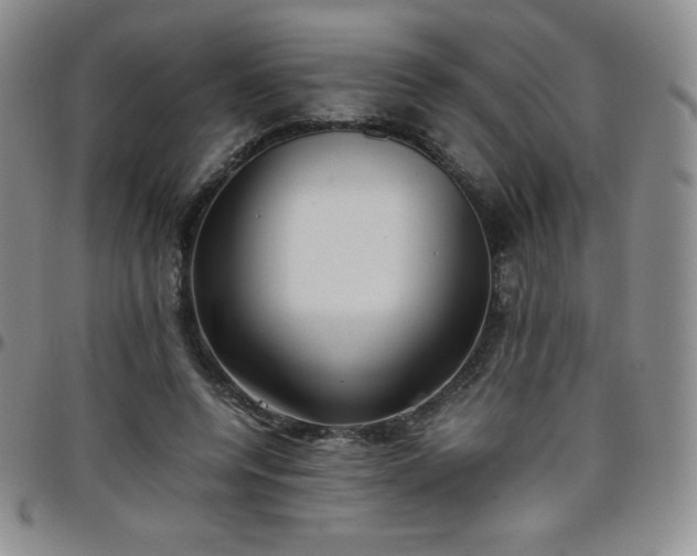 X0000099230544200805011139