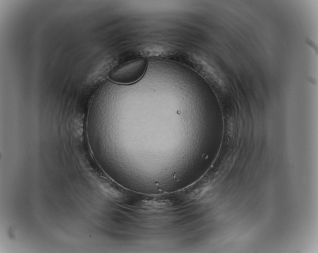 X0000099230545200805011139