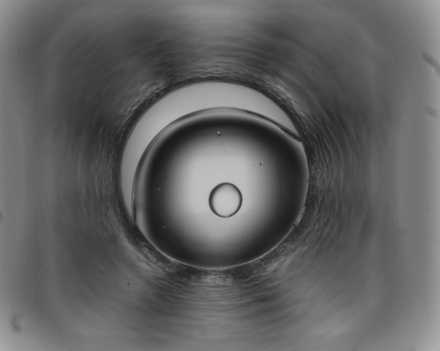 X0000099230546200805011139