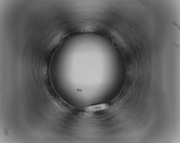 X0000099230548200805011139