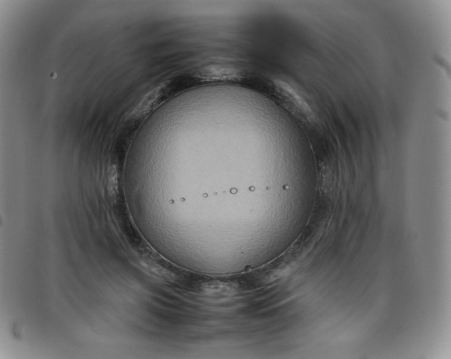 X0000099230549200805011139