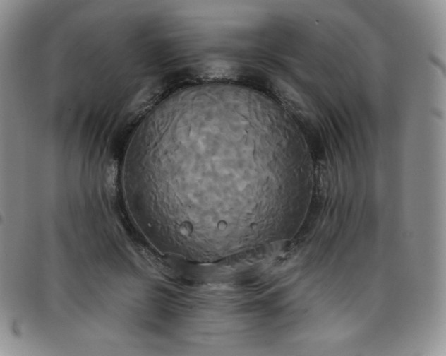 X0000099230550200805011139