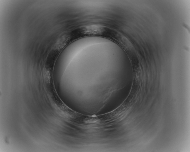 X0000099230551200805011139