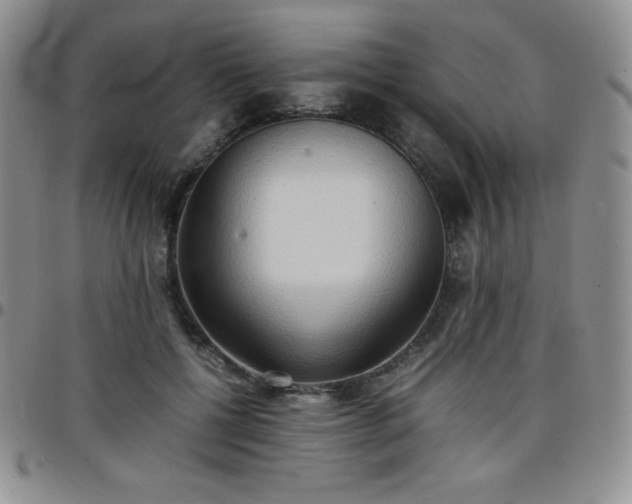 X0000099230552200805011139