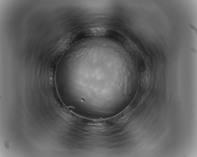 X0000099230553200805011139