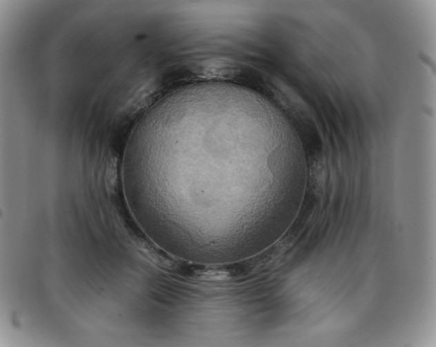 X0000099230554200805011139