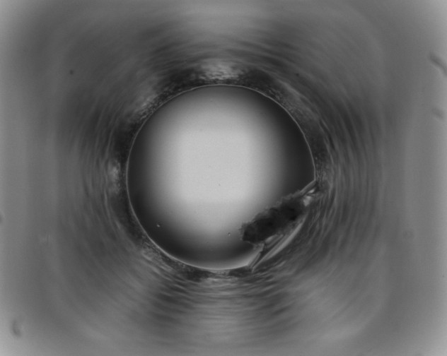 X0000099230556200805011139