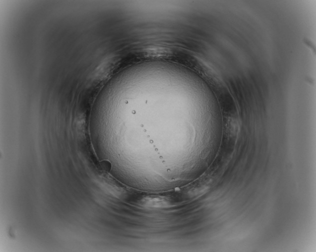 X0000099230557200805011139