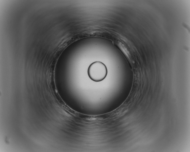 X0000099230558200805011139