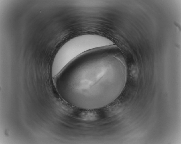 X0000099230559200805011139