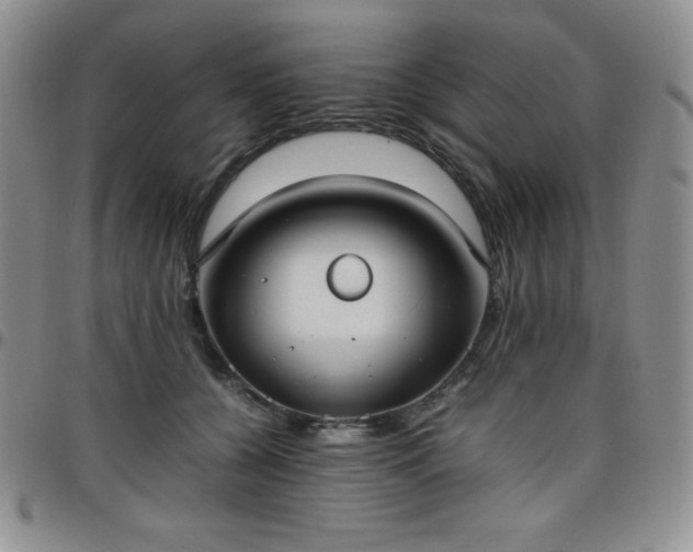 X0000099230560200805011139