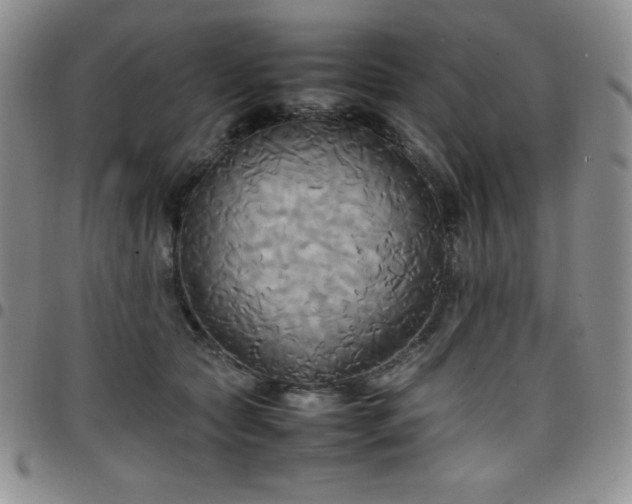 X0000099230561200805011139