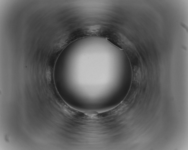 X0000099230562200805011139