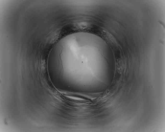 X0000099230563200805011139