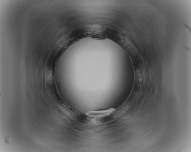 X0000099230564200805011139