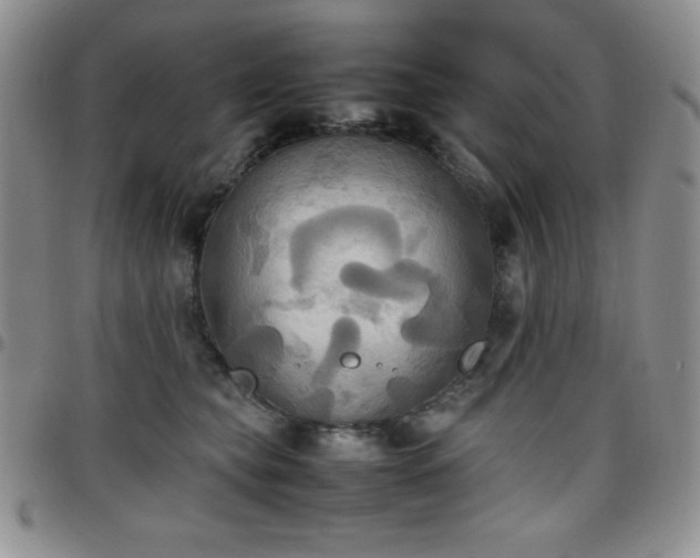 X0000099230565200805011139