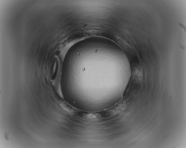 X0000099230566200805011139