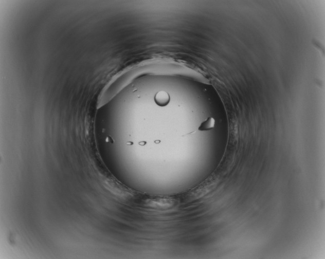 X0000099230567200805011139