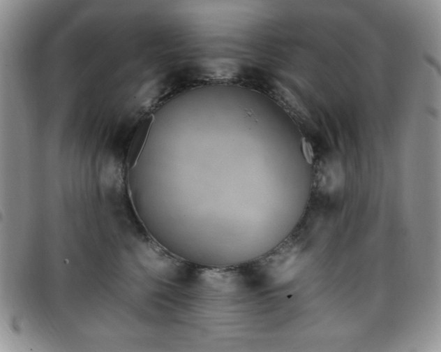 X0000099230568200805011139