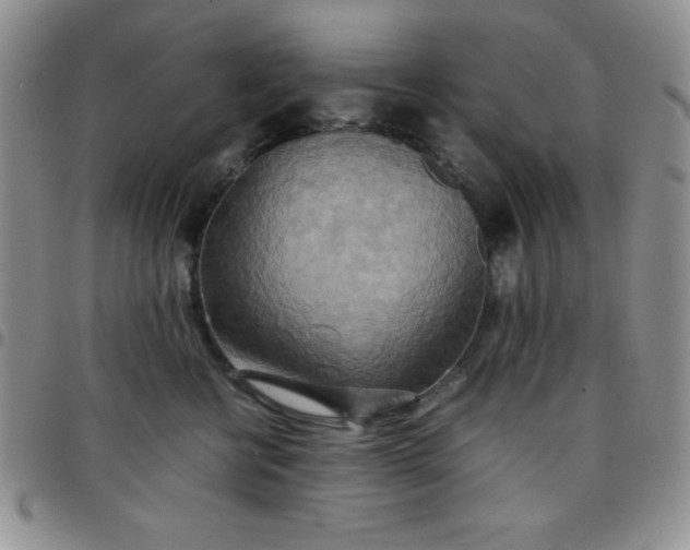 X0000099230570200805011139