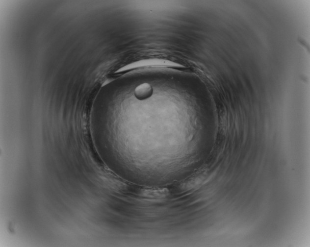 X0000099230571200805011139