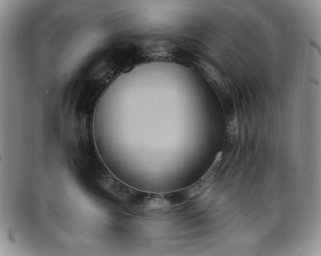 X0000099230572200805011139