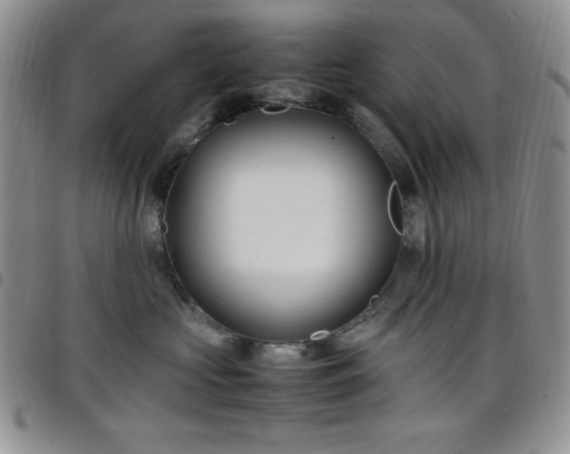 X0000099230573200805011139