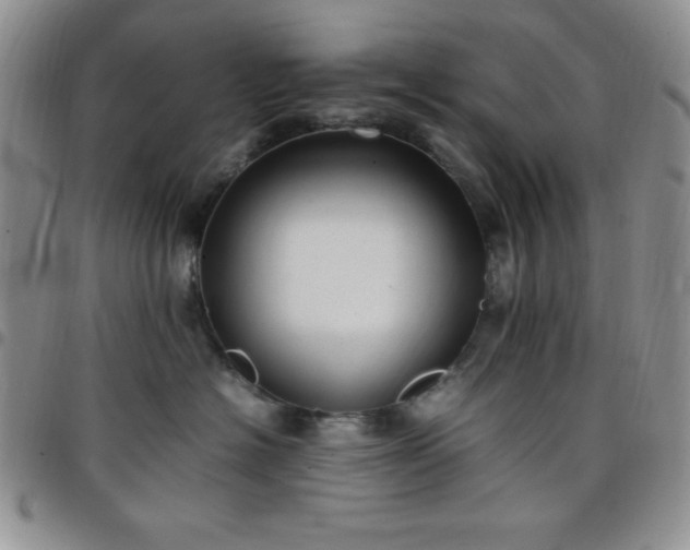 X0000099230574200805011139