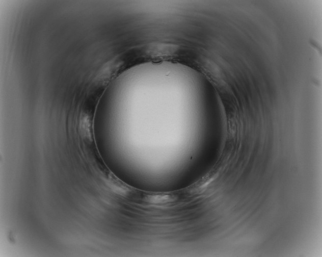 X0000099230575200805011139