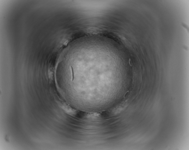 X0000099230576200805011139