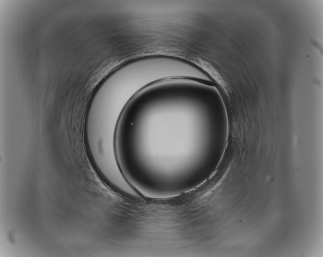 X0000099230577200805011138